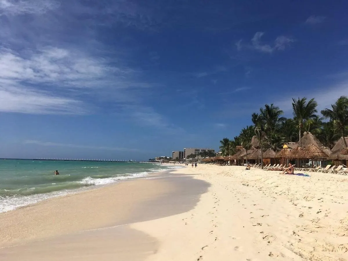 Depa De Lujo En El Corazon De La Riviera Maya Πλάγια Ντελ Κάρμεν
