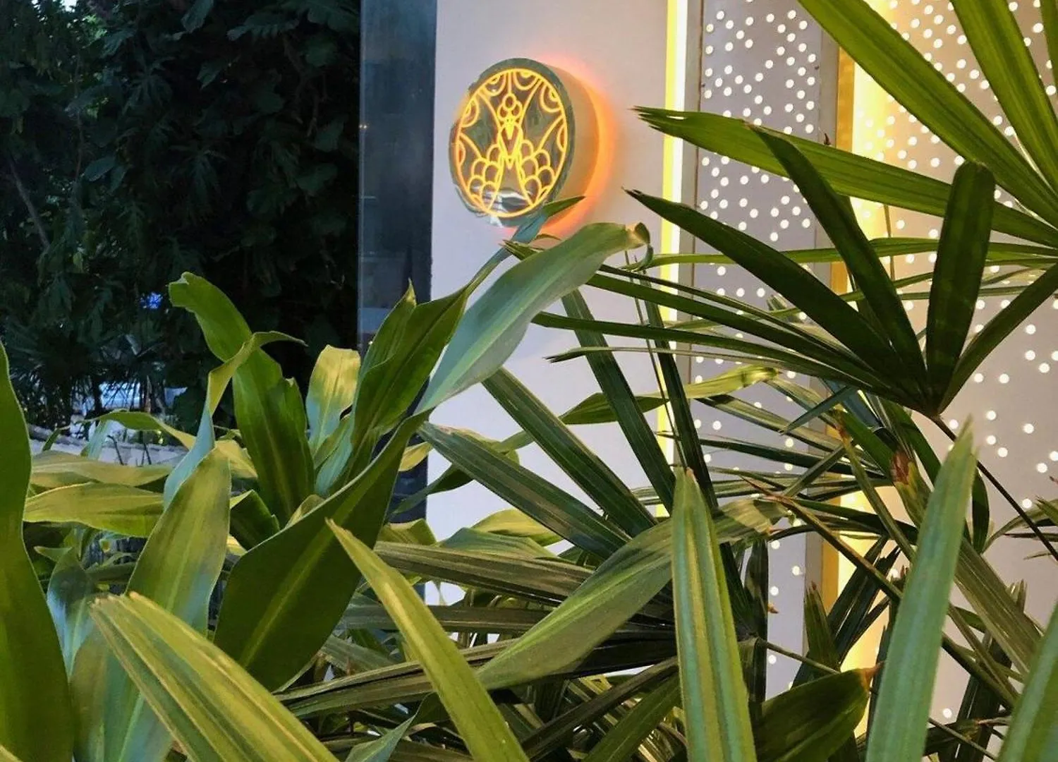 Διαμέρισμα Depa De Lujo En El Corazon De La Riviera Maya Πλάγια Ντελ Κάρμεν